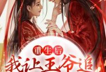 重生后，我让王爷追妻火葬场了免费阅读，重生后，我让王爷追妻火葬场了章节在线阅读-贝壳文学