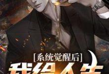 系统觉醒后，我给人生开了个挂免费阅读，系统觉醒后，我给人生开了个挂章节目录-贝壳文学