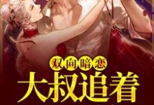 双向暗恋：大叔追着我不放这本小说怎么样？免费在线阅读试试-贝壳文学