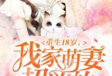 完结版《重生18岁：我家萌妻超凶的》在线免费阅读-贝壳文学