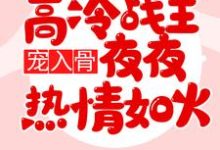宠入骨高冷战王夜夜热情如火小说的免费电子版在哪里可以下载或阅读?-贝壳文学