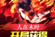 完结版《人在木叶，开局获得万花筒写轮眼》免费阅读-贝壳文学