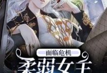 男女主人公辛鹊骆华意小说面临危机，柔弱女主选择自救章节免费阅读-贝壳文学
