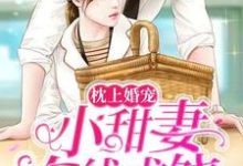 免费在线阅读枕上婚宠：小甜妻在线求饶小说的正规网站有哪些？-贝壳文学