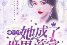 重生后她成了世界首富小说,重生后她成了世界首富叶清林怀尘-贝壳文学