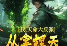 我，天命大反派，从拿捏天道开始这本小说怎么样？免费在线阅读试试-贝壳文学