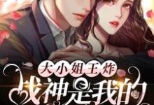 男女主人公云舒凌镜小说大小姐王炸:战神是我的守护灵章节免费阅读-贝壳文学