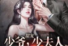 姜悠傅君行为主角的小说叫什么?免费看甜宠:少爷,少夫人又开始作了-贝壳文学