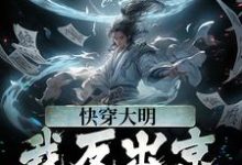 快穿大明：我反出京师对抗皇帝小说的无弹窗阅读体验，寻找免费阅读网站-贝壳文学