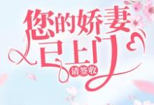 您的娇妻已上门，请签收小说完结版章节免费阅读-贝壳文学