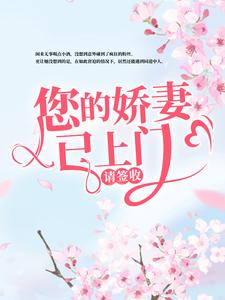 您的娇妻已上门，请签收小说完结版章节免费阅读