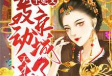 已完结小说《天才弃妃:王妃又轰动京城了》章节在线阅读-贝壳文学