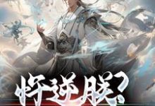 朱翊钧魏忠贤小说叫什么(忤逆朕?你们会后悔的!免费阅读)-贝壳文学