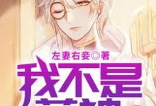 完结版《我不是药神》章节目录在线阅读-贝壳文学