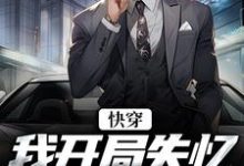 《快穿：我开局失忆，入赘云家》全集免费在线阅读（汤海涛云轻歌）-贝壳文学