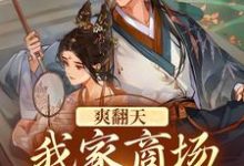 《爽翻天！我家商场通古代》全集免费在线阅读（司思祁莫寒）-贝壳文学