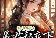 主人公叫夏棠梨龙翎的小说哪里免费看-贝壳文学
