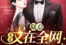 免费看陆总,太太又在全网选老公了小说的网站有哪些?-贝壳文学