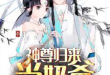 已完结小说《神尊归来当奶爸》最新章节-贝壳文学