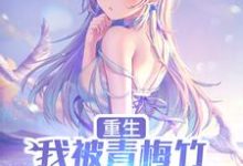 陈泽唐韵然小说叫什么（重生，我被青梅竹马倒追了免费阅读）-贝壳文学