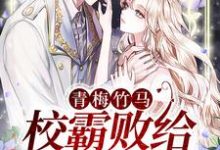 青梅竹马：校霸败给小甜妹这本小说在哪里可以看？哪里有免费试读章节？-贝壳文学