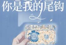 主人公叫宋懿沈栖迟的小说哪里免费看-贝壳文学