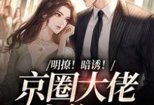 主人公叫薄迟屹初稚的小说明撩!暗诱!京圈大佬上位了在线阅读章节-贝壳文学