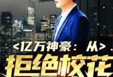 求亿万神豪:从拒绝校花开始小说免费资源-贝壳文学