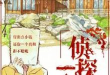 一个侦探所这本小说完结了吗？免费查看最新章节-贝壳文学