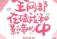 江乔江馨儿子琰为主角的小说全网都在磕我和影帝的CP在线阅读-贝壳文学