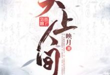 李摘星端木韵徐启小说《天上人间》在线阅读-贝壳文学