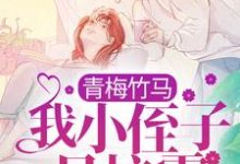 江稚沈辞安的故事在哪本书里？免费阅读青梅竹马：我小侄子是校霸-贝壳文学