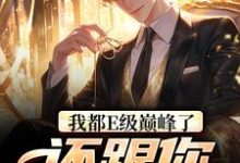 主角叫张铭的小说在哪阅读-贝壳文学