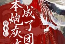 穿书后，本炮灰咋成了团宠章节免费在线阅读，沈颜汐冥九渊完结版-贝壳文学