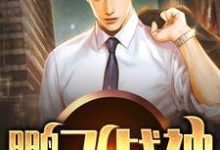 主人公叫叶鹏程萧如雪的小说哪里免费看-贝壳文学