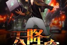 天降巨富这本小说怎么样？免费在线阅读试试-贝壳文学