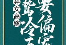 弃女高嫁:阴鸷冷王要偏宠免费阅读,弃女高嫁:阴鸷冷王要偏宠洛殇冷邵玉-贝壳文学