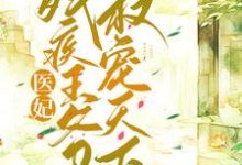 完结版《医妃嫁残疾王爷权宠天下》章节阅读-贝壳文学