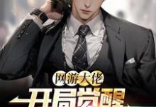 求网游大佬：开局觉醒红温系统小说免费资源-贝壳文学