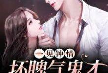 沈淮序姜梵小说《一见钟情：坏脾气鬼才导演的克星》在线阅读-贝壳文学
