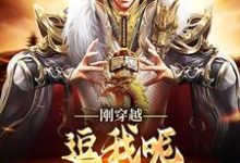 刚穿越,逗我呢,满朝乱臣贼子这本小说完结了吗?免费查看最新章节-贝壳文学