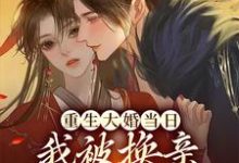 重生大婚当日,我被换亲成摄政王妃小说的免费电子版在哪里可以下载或阅读?-贝壳文学