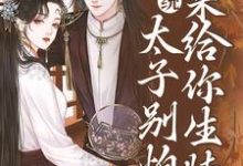 系统:太子别怕,我来给你生娃了章节免费在线阅读,许锦意完结版-贝壳文学