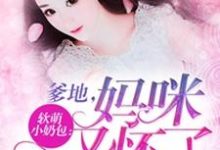 软萌小奶包：爹地，妈咪又怀了小说阅读，软萌小奶包：爹地，妈咪又怀了完结版-贝壳文学