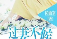 小说《过妻不候》章节阅读-贝壳文学