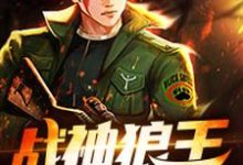 战神狼王小说有没有完整的免费版本在线阅读?-贝壳文学