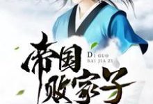主角王康林语嫣小说完结版在线阅读，帝国败家子免费看-贝壳文学