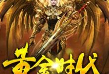 黄金时代刘磊叶兰小说在线章节免费阅读-贝壳文学