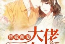 在线寻找替嫁萌妻：大佬超凶的小说的无删减版本-贝壳文学