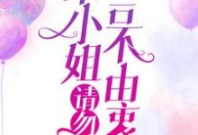 宋小姐，请勿言不由衷小说，宋小姐，请勿言不由衷免费阅读-贝壳文学